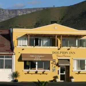 Dolphin Inn Guesthouse 